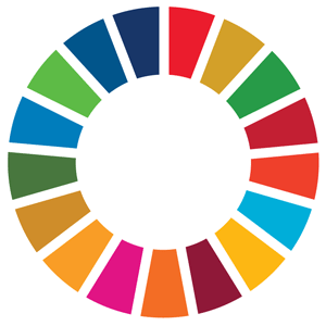 Logo Sustainable Development Goals